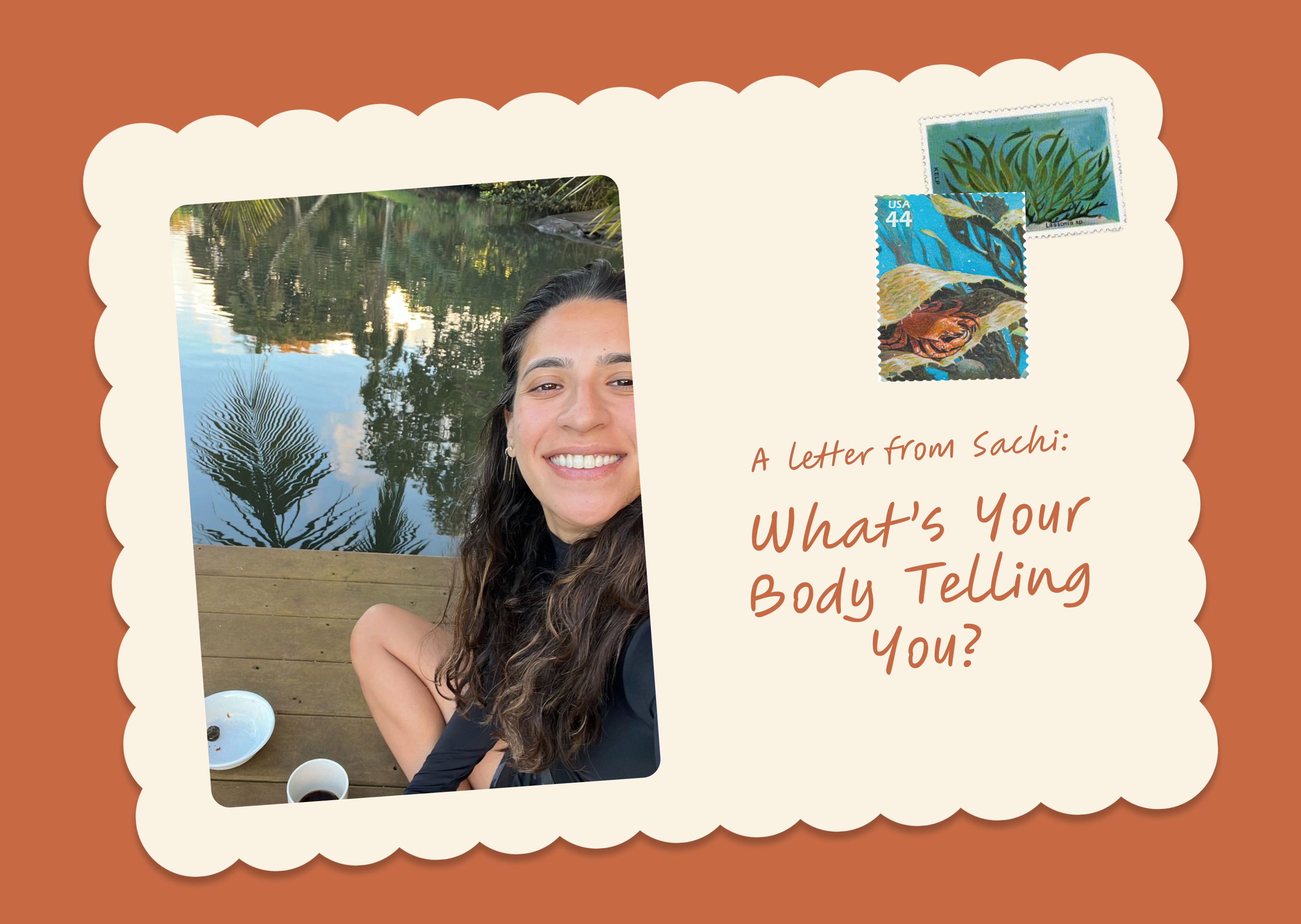 A Letter From Sachi – Rootless