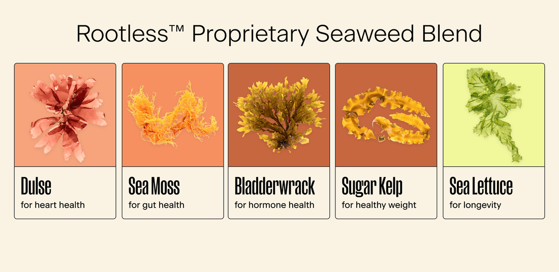 Rootless™ Proprietary Seaweed Blend