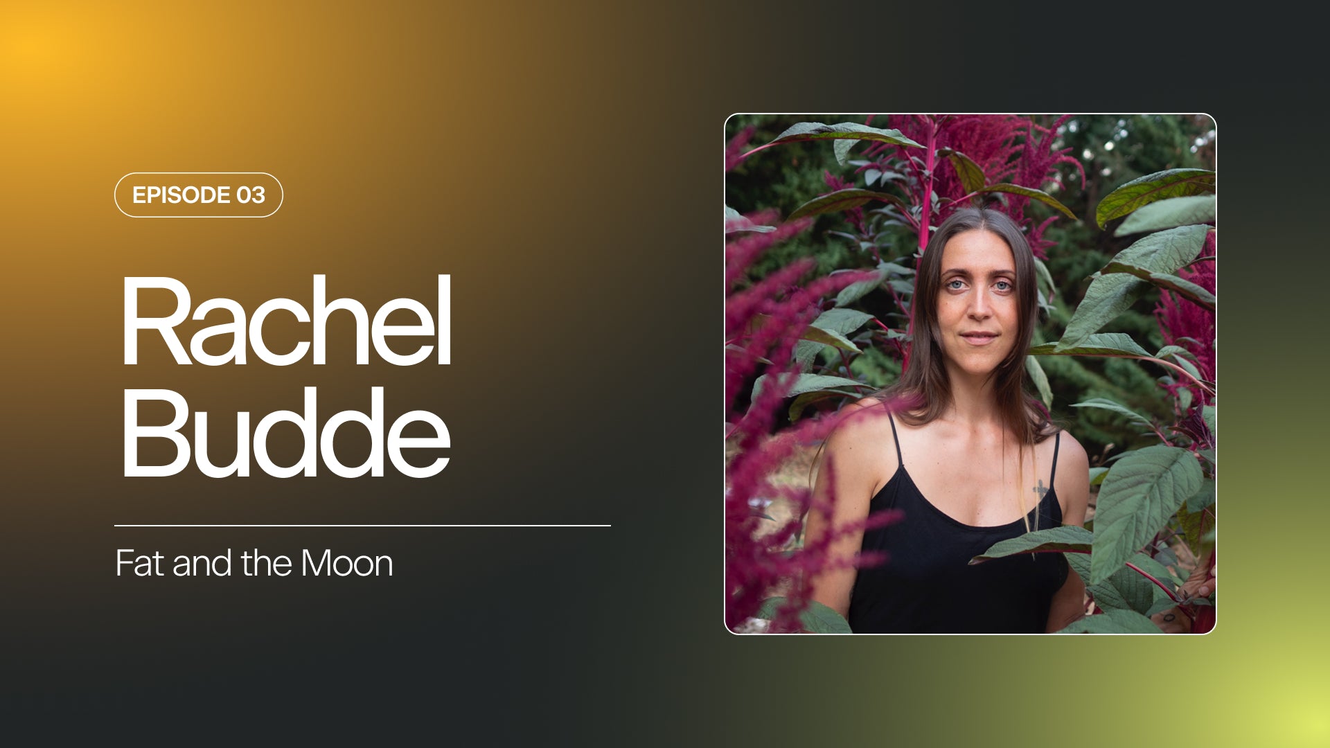 Divine Feminine Business & Plant Wisdom w/ Rachel Budde