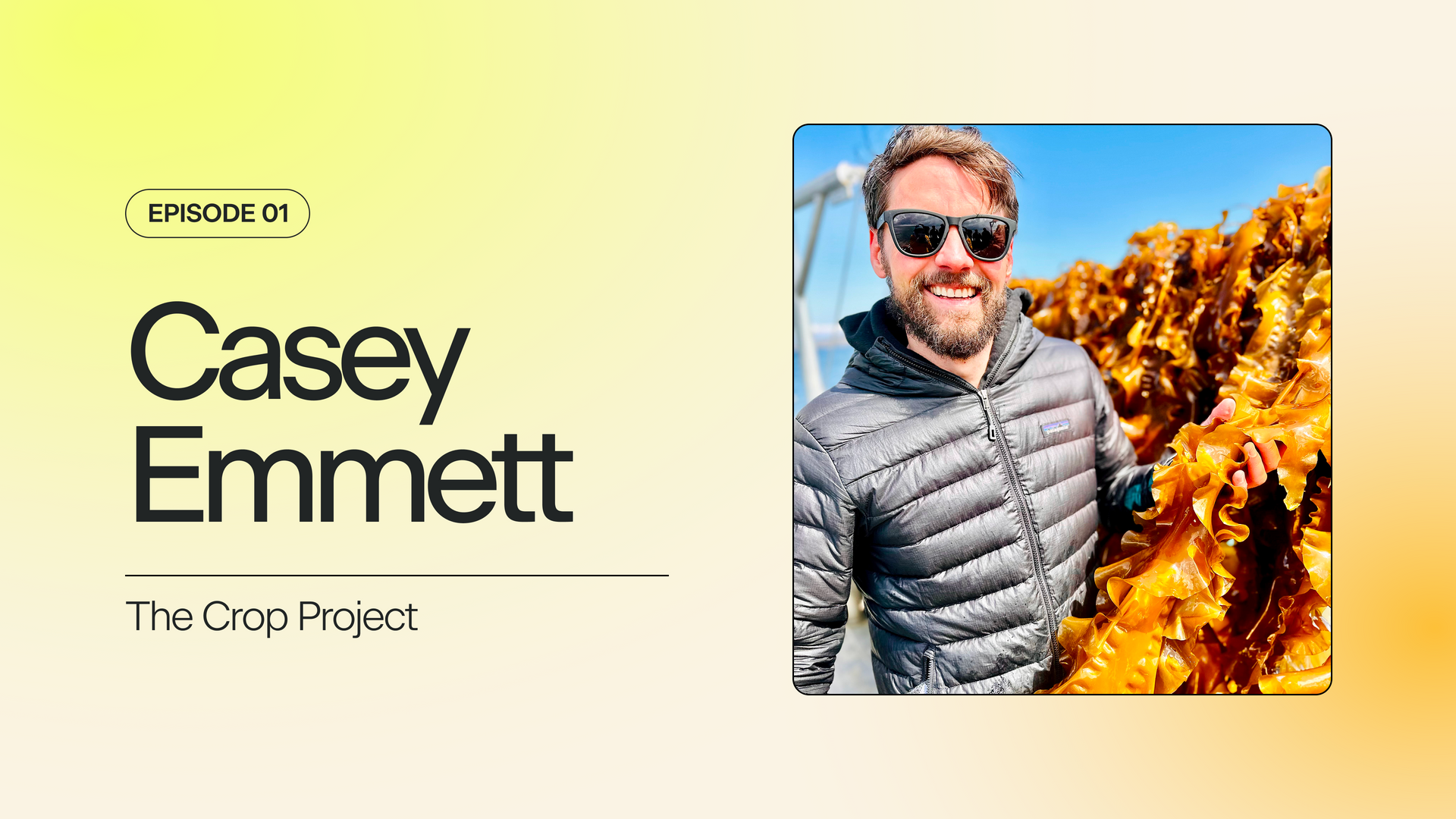 From Chia to Seaweed: Mainstreaming 'Superfoods' & Biodiversity in Food Systems