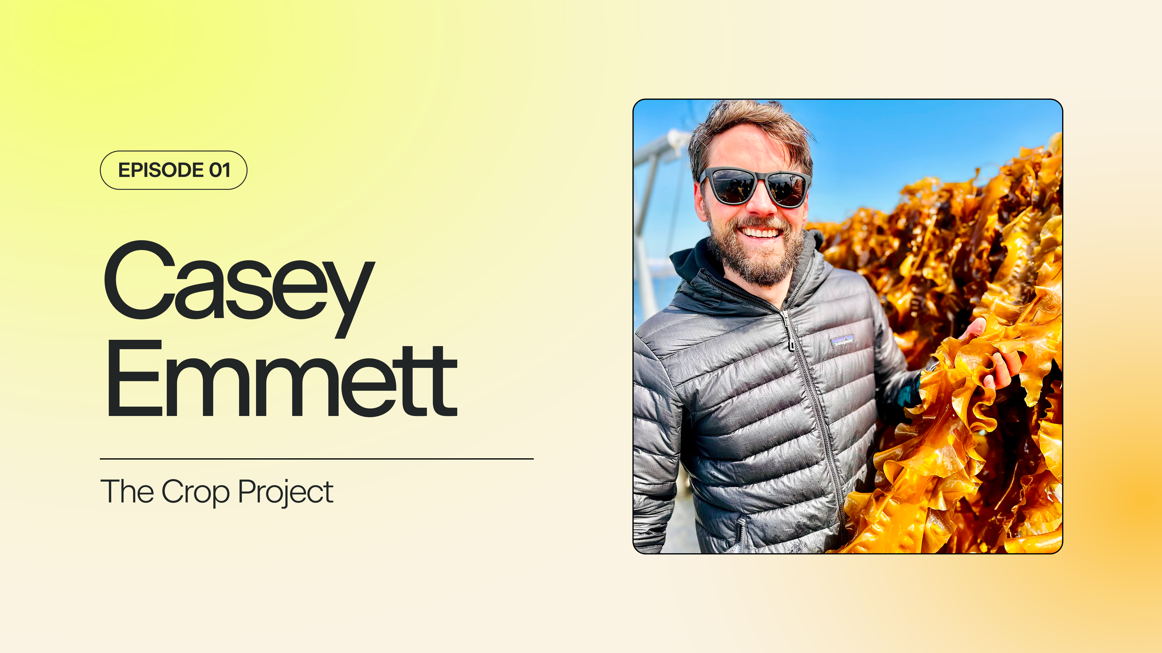 Join us for our first-ever #hopecore episode featuring Casey Emmett, co-founder & CEO of The Crop Project, as he explores the challenges and triumphs of building consumer awareness around little-known, regenerative, nutrient-dense superfoods like chia and seaweed, bringing them into the mainstream, and supporting more biodiverse food systems.
