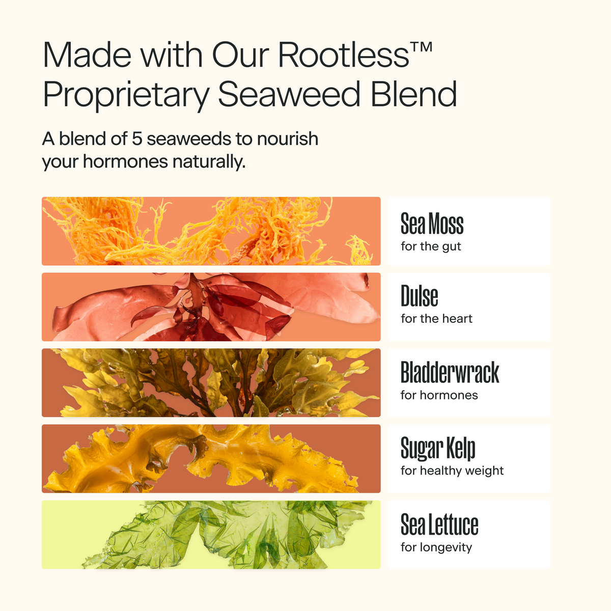 Rootles Snacks Daily Bites for Hormone Health – Rootless