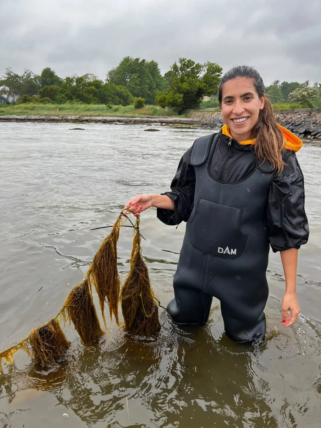 Sachi Singh, founder of Rootless, harvesting seaweed